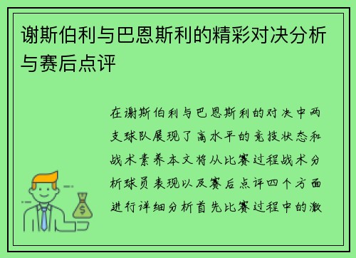 谢斯伯利与巴恩斯利的精彩对决分析与赛后点评