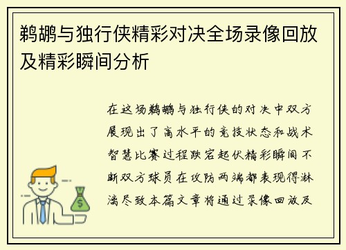 鹈鹕与独行侠精彩对决全场录像回放及精彩瞬间分析