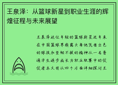 王泉泽：从篮球新星到职业生涯的辉煌征程与未来展望